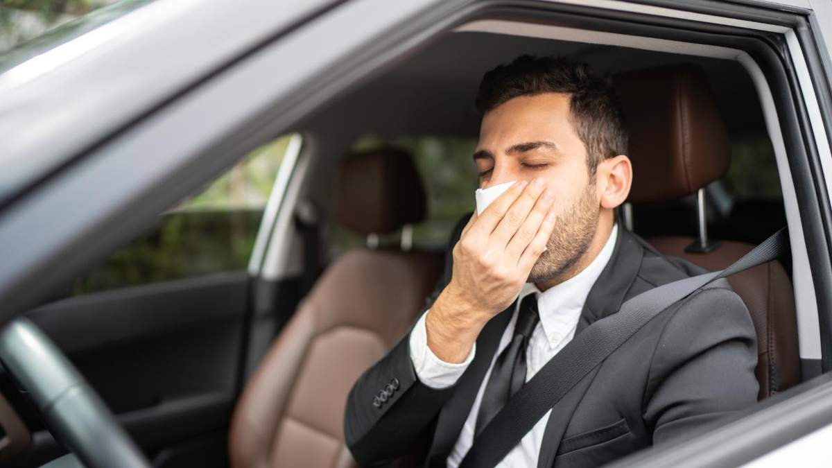 Простые способы избавиться от неприятных запахов в автомобиле