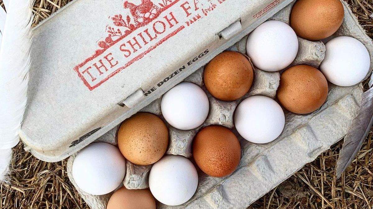 Как правильно хранить куриные яйца