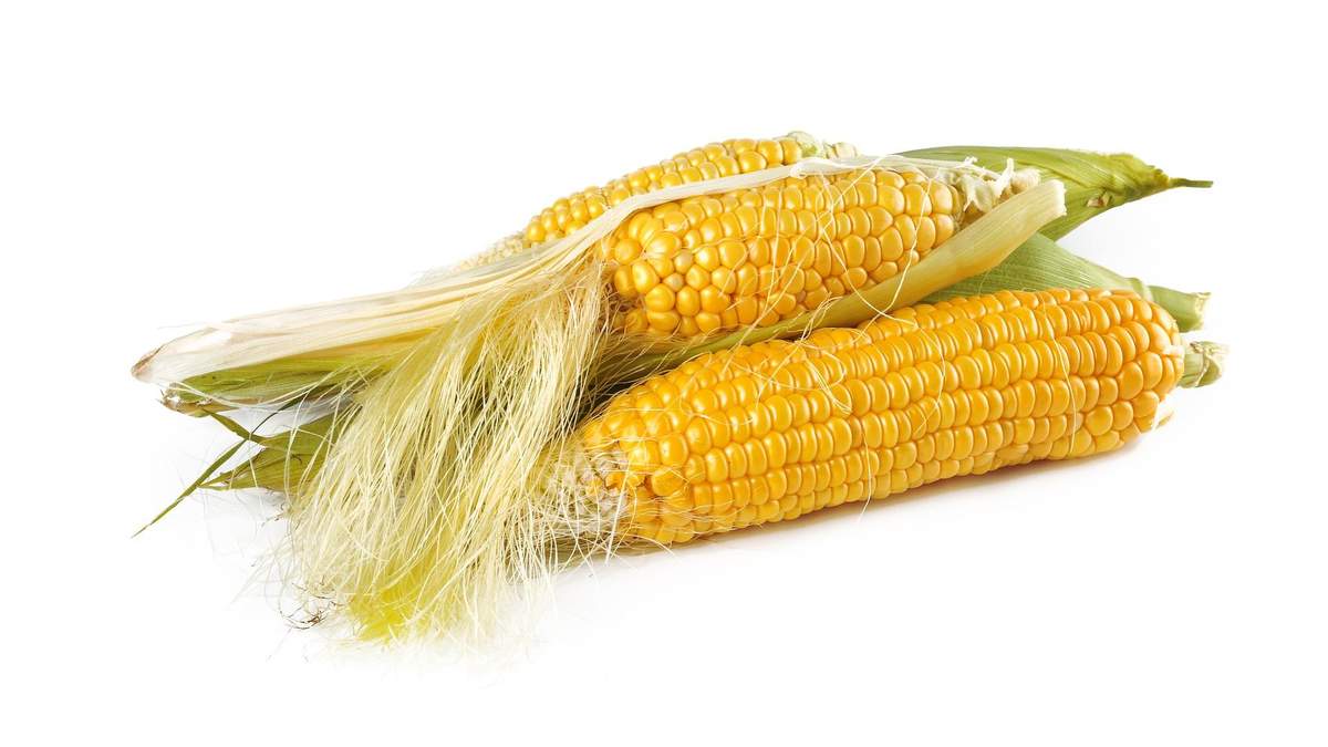 Приготовление кукурузы в микроволновке: рецепт на 5 минут - Идеи