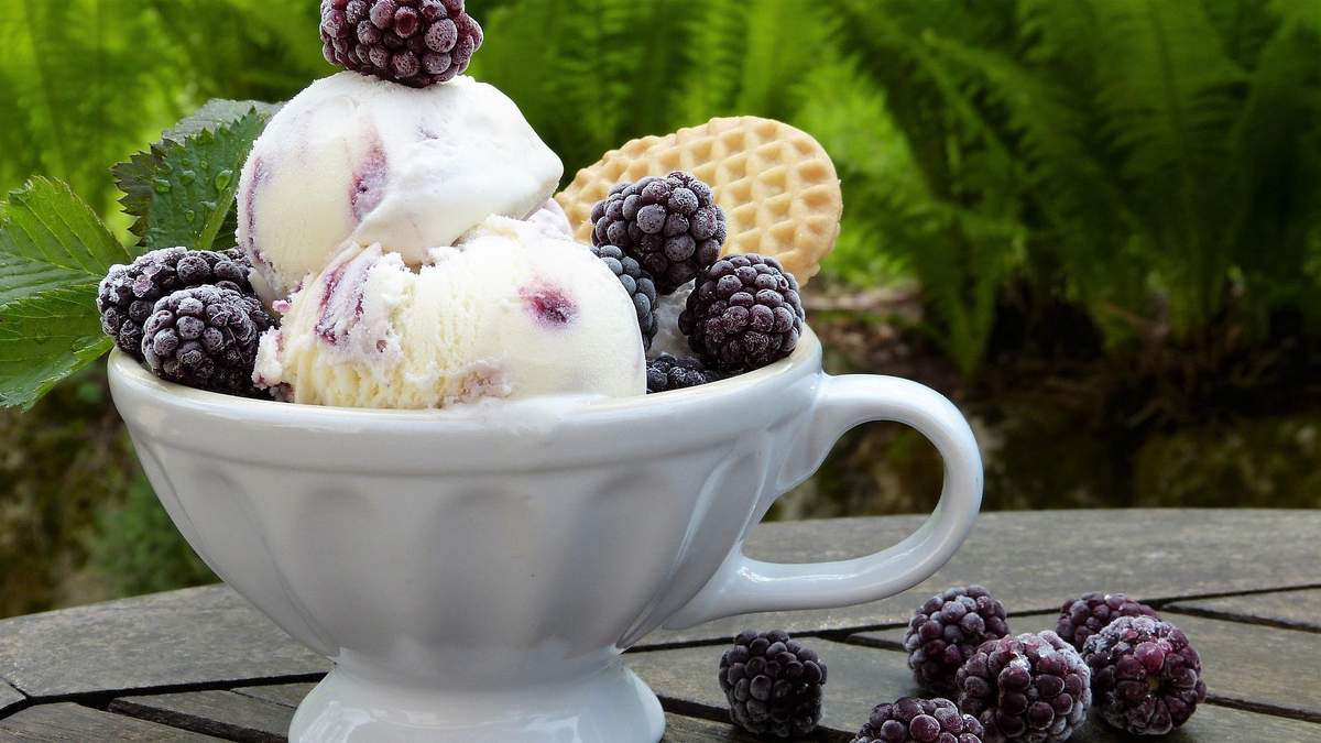 Пошаговая инструкция, как приготовить самое вкусное мороженое в домашних условиях - Идеи
