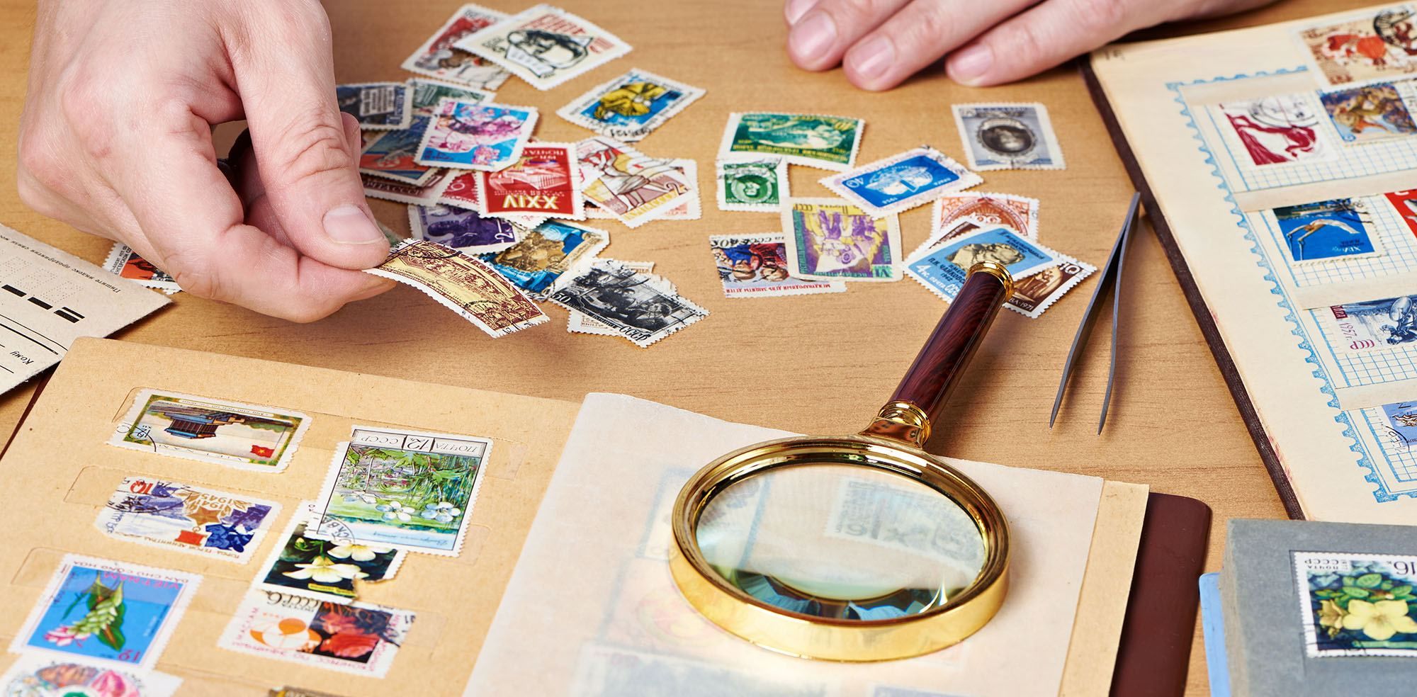 Найдивніші колекції в світі Найдивніші колекції в світі