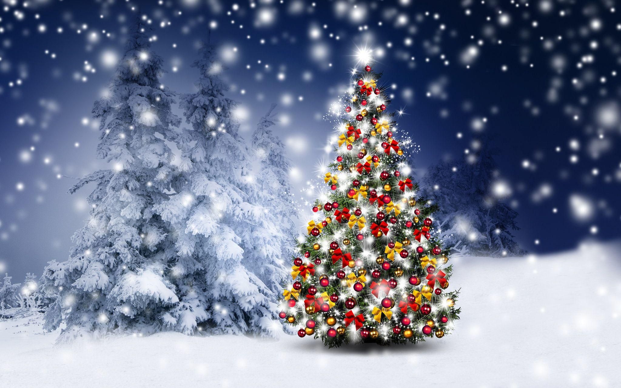 Як відсвяткувати Новий рік екологічно: 6 простих порад Як відсвяткувати Новий рік екологічно: 6 простих порад