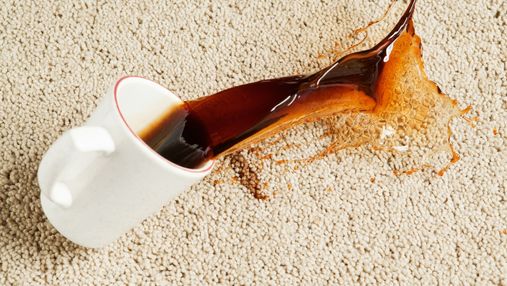 Как вывести пятно от кофе с ковра за три простых шага