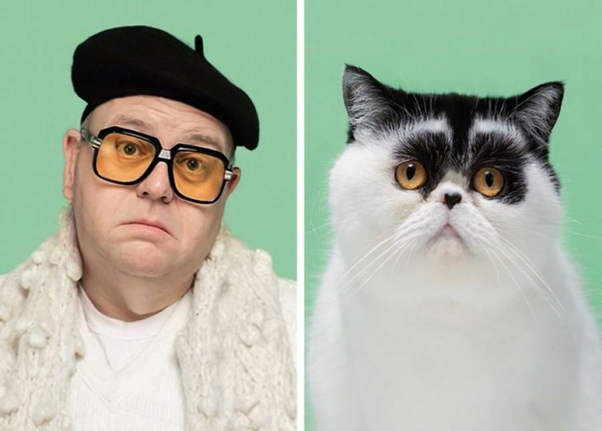 Домашні улюбленці, які схожі на своїх господарів Домашні улюбленці, які схожі на своїх господарів