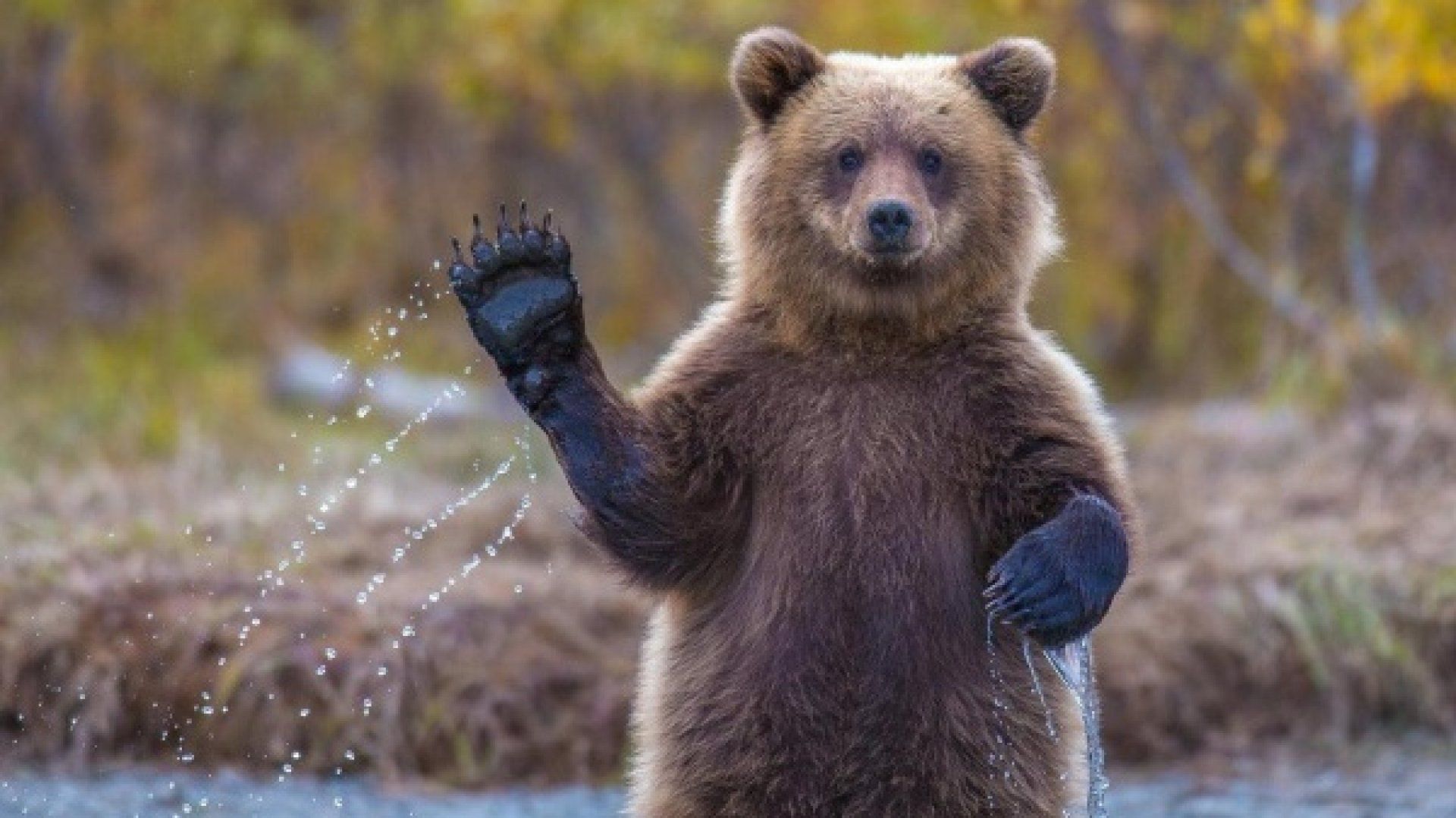 Мифы, которые не стоит применять в реальной жизни Мифы, которые не стоит применять в реальной жизни