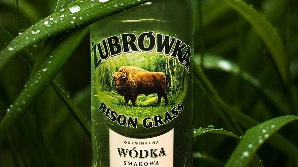 Открывая легенду: история бренда Zubrowka, продолжительностью в  полтысячелетия - Идеи