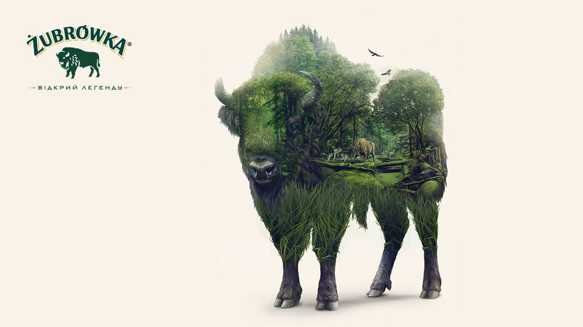 Секреты бренда Zubrowka Bison Grass: путь от Беловежской Пущи до магазинной полки - Идеи Секреты бренда Zubrowka Bison Grass: путь от Беловежской Пущи до магазинной полки - Идеи