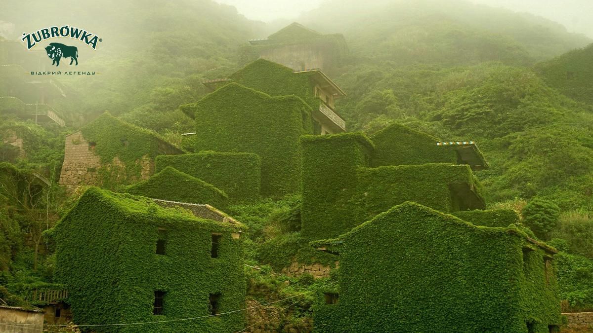 Победа природы в борьбе с цивилизацией Победа природы в борьбе с цивилизацией