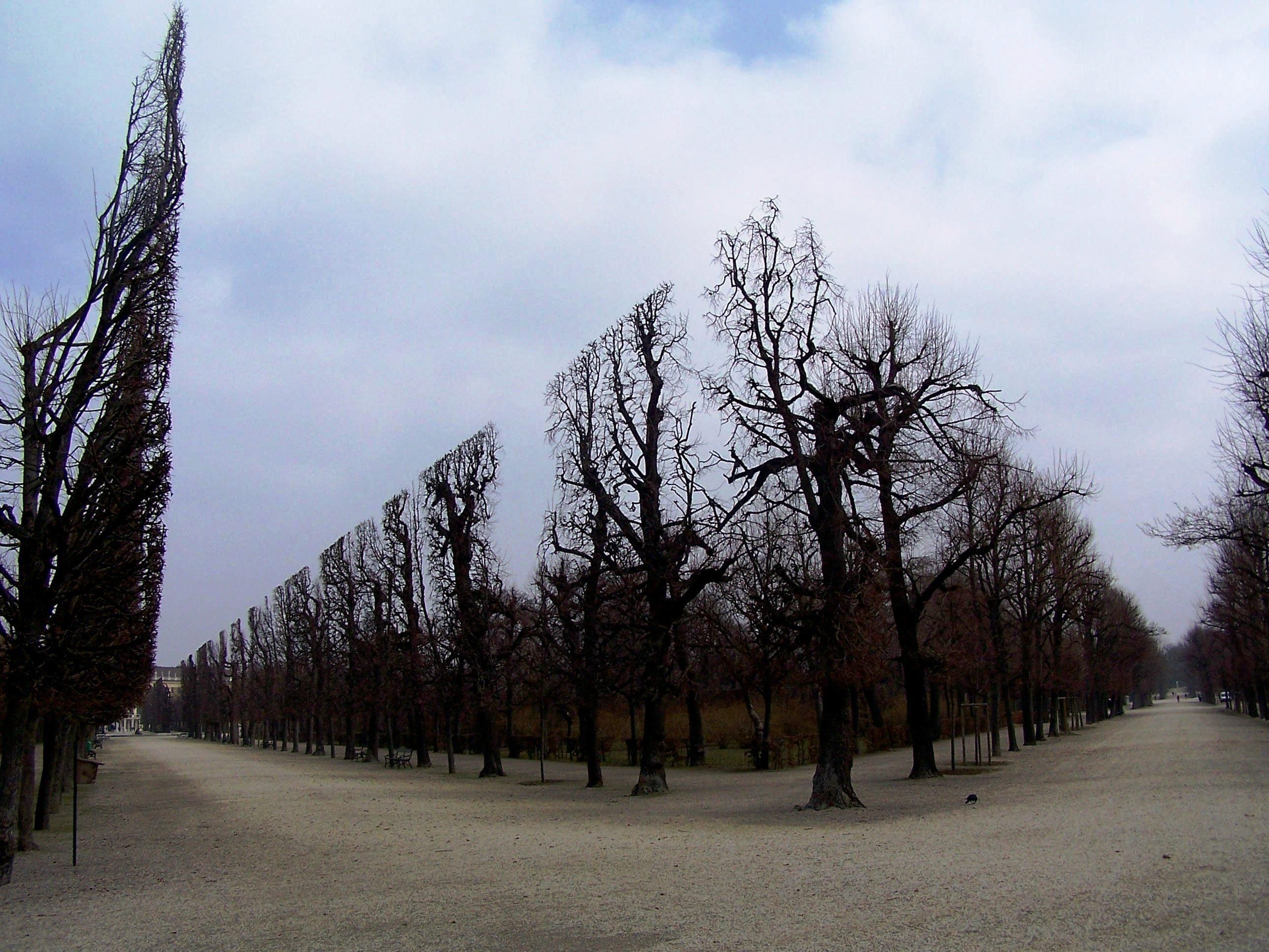 Фото, які допоможуть заспокоїти нерви Фото, які допоможуть заспокоїти нерви