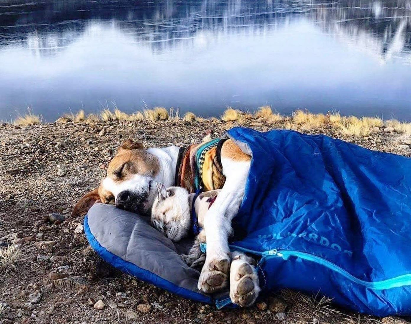 Оригінальні спальники, які захочуть мати всі мандрівники Оригінальні спальники, які захочуть мати всі мандрівники