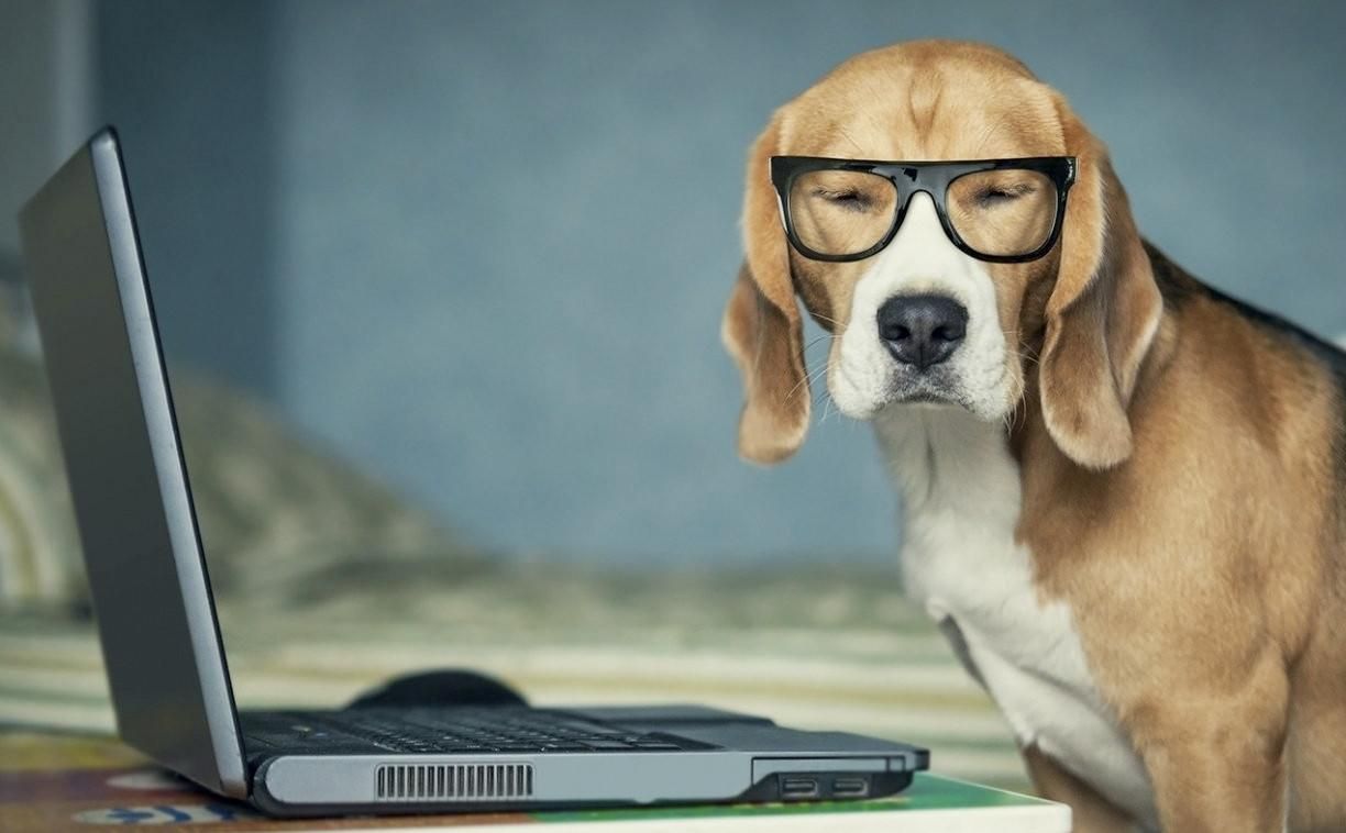 Подарки для тех, кто постоянно сидит за компьютером Подарки для тех, кто постоянно сидит за компьютером