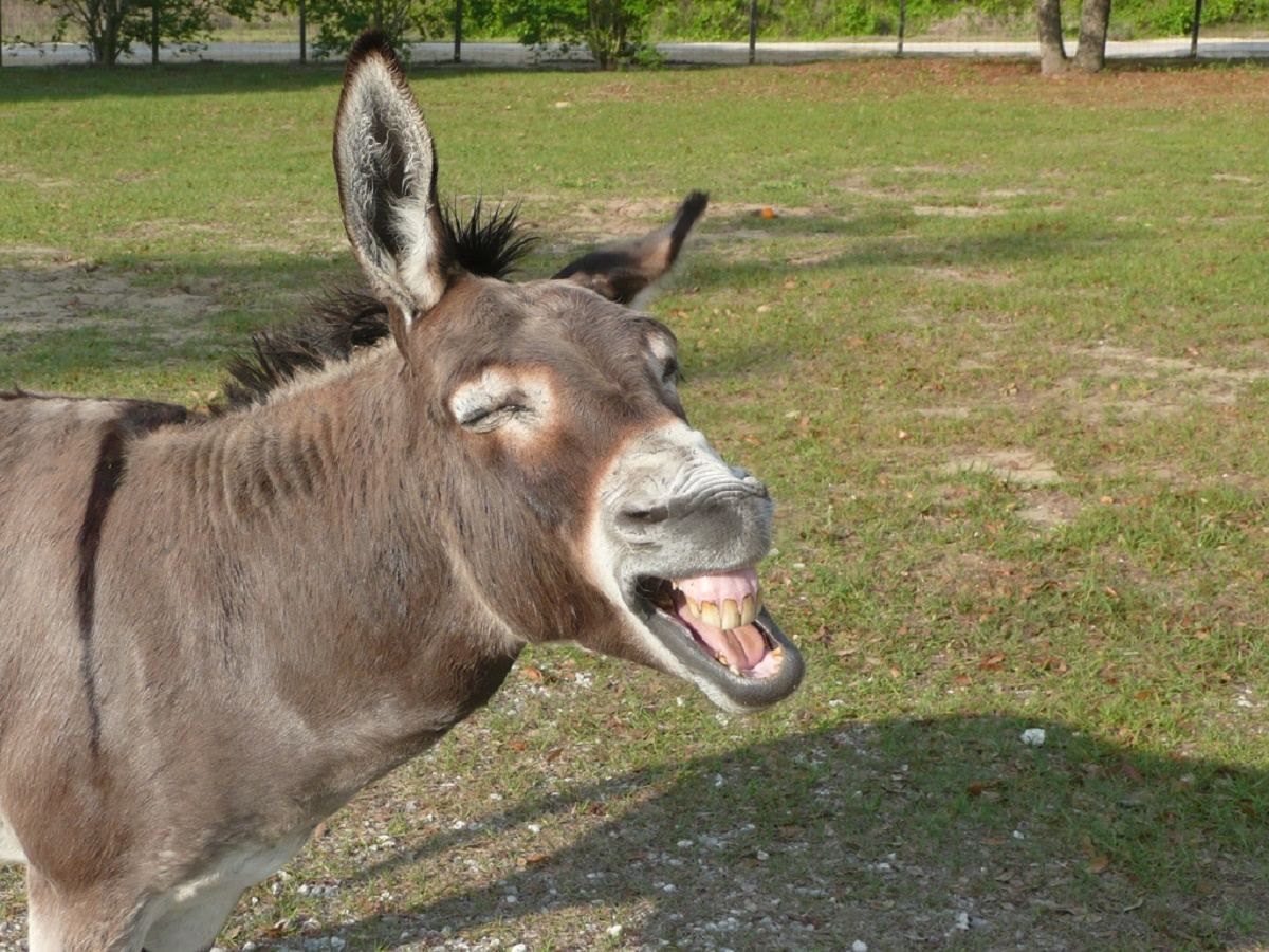 Чулки на телевизорах и еще 7 самых забавных розыгрышей на День смеха: веселая подборка
Чулки на телевизорах и еще 7 самых забавных розыгрышей на День смеха: веселая подборка