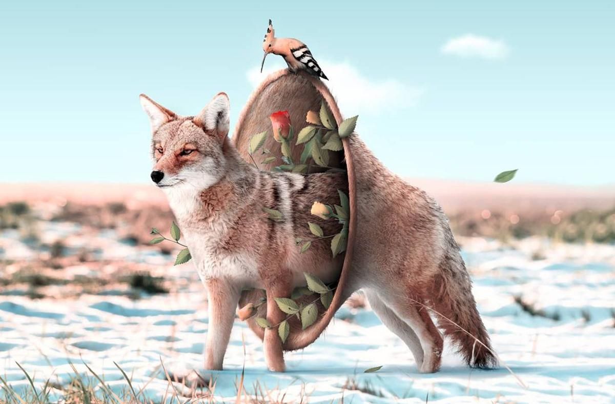 Фотохудожник створює сюрреалістичних тварин Фотохудожник створює сюрреалістичних тварин