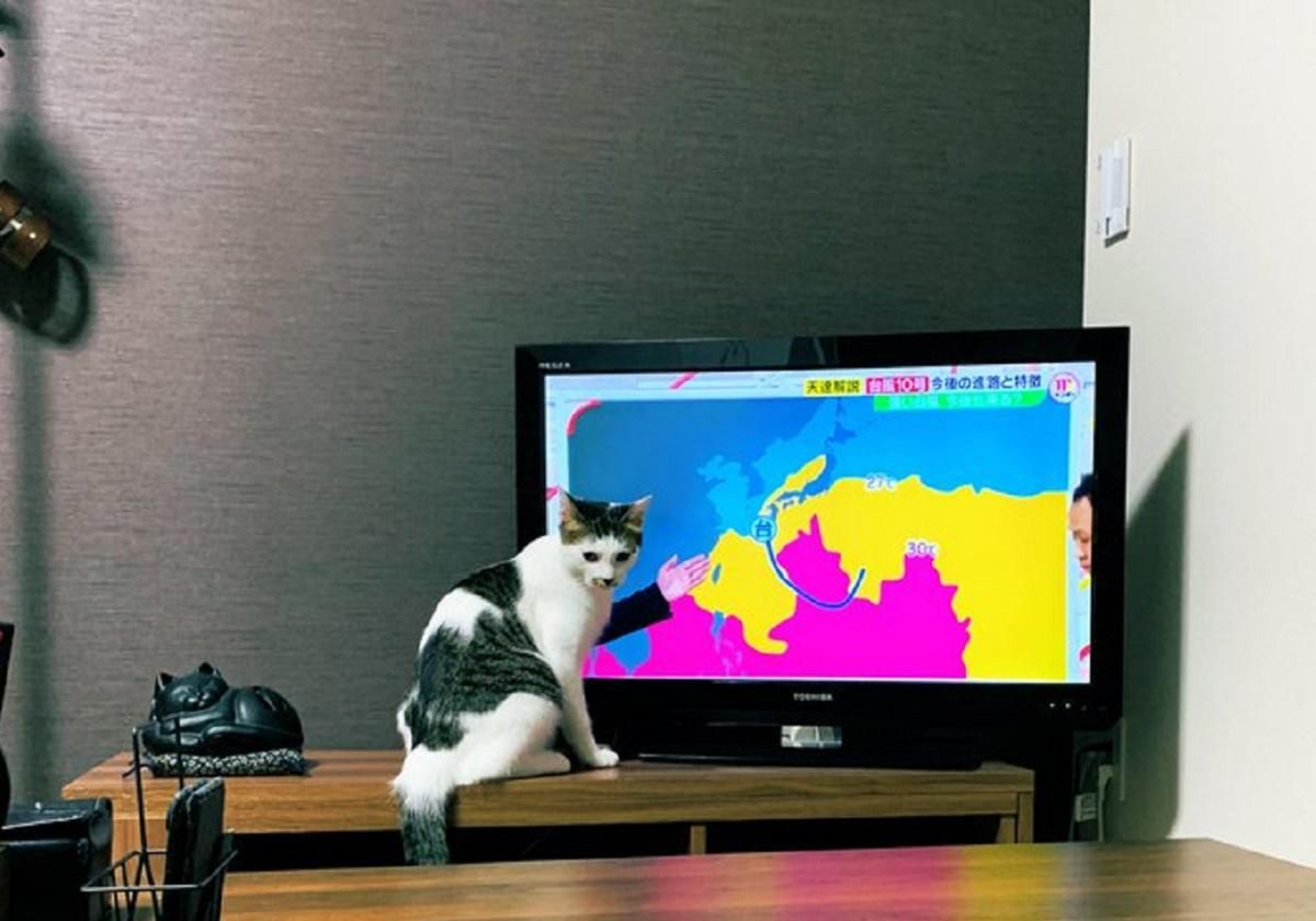 Генії фотозйомки: 13 кадрів із дивного ракурсу
Генії фотозйомки: 13 кадрів із дивного ракурсу