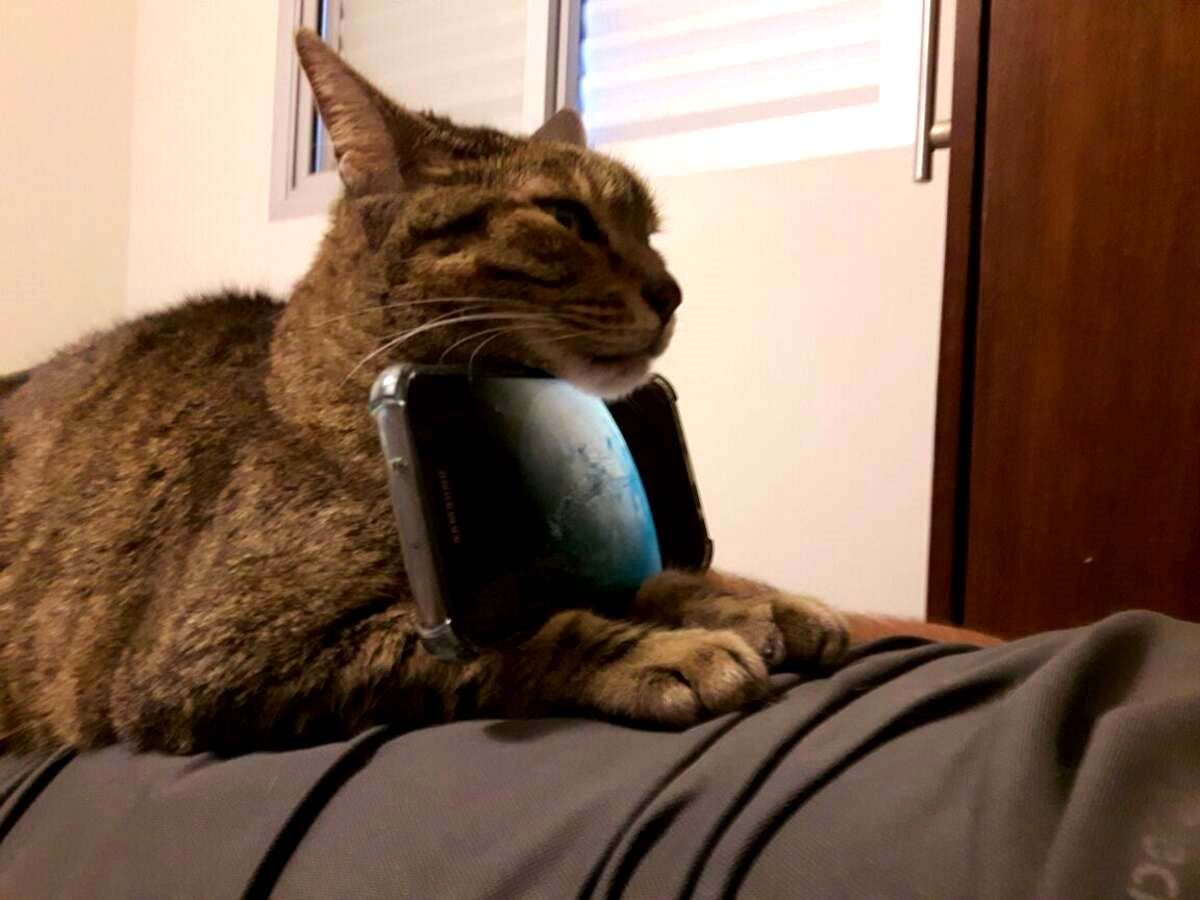 Креативные люди, которые смогут найти выход из любой ситуации Креативные люди, которые смогут найти выход из любой ситуации