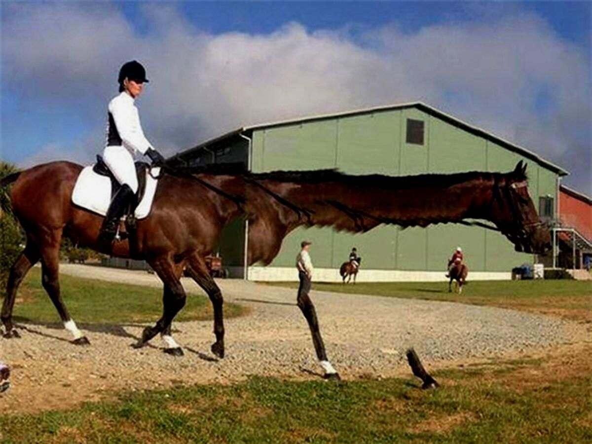 Смешные панорамные фото Смешные панорамные фото