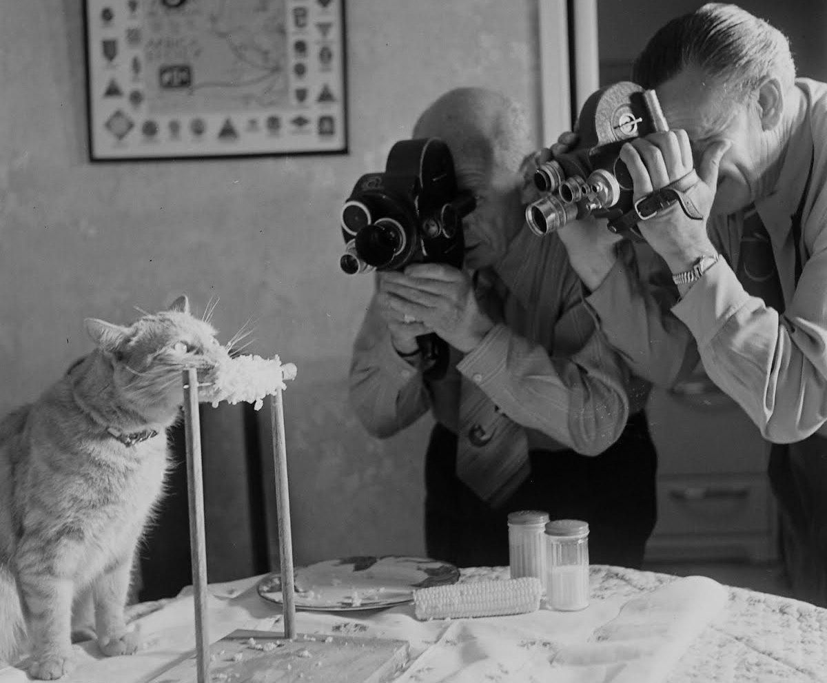 Історичні фото, які вас здивують Історичні фото, які вас здивують