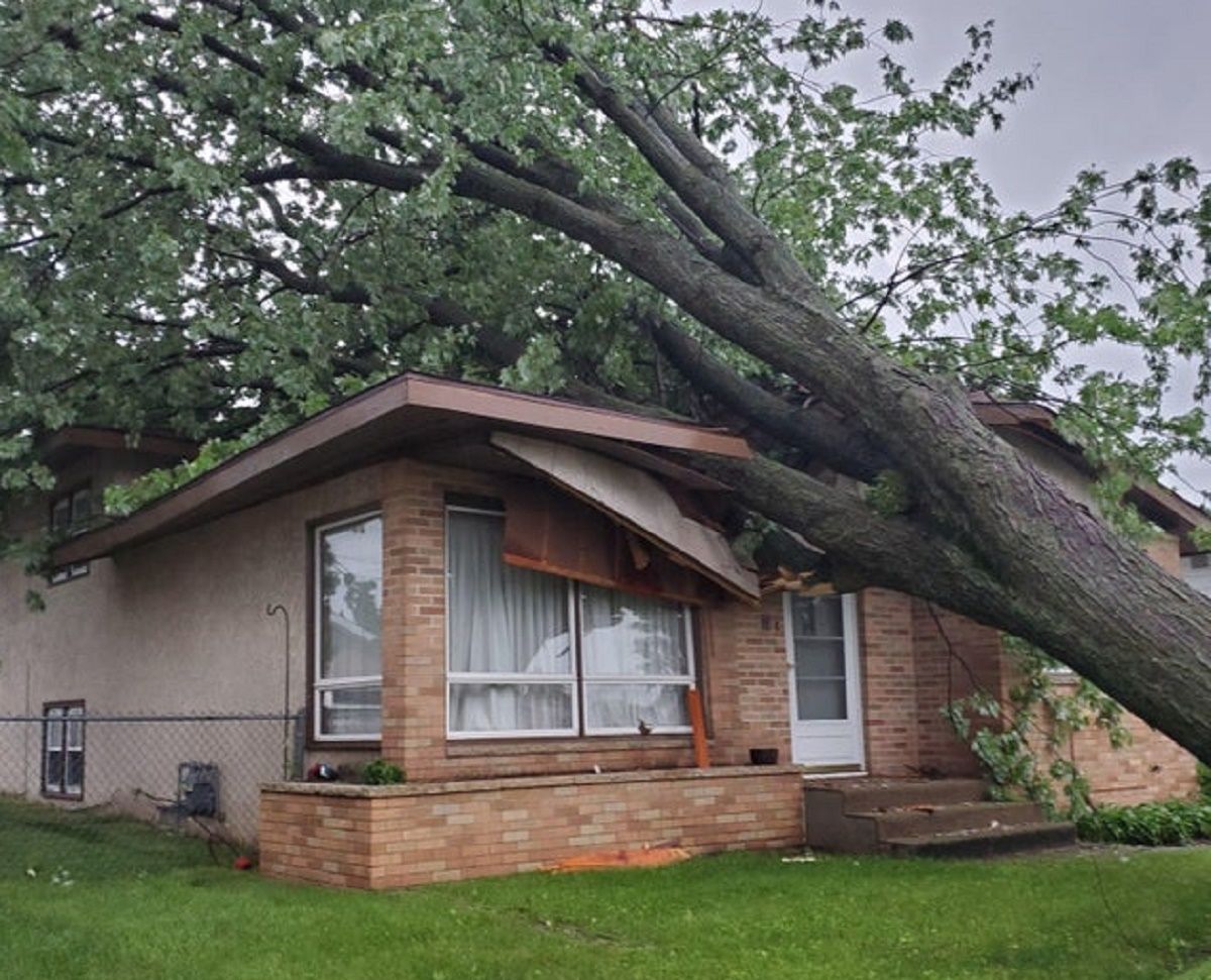 Коли вам здається, що у вас невдалий день, перегляньте ці 13 фотографій
Коли вам здається, що у вас невдалий день, перегляньте ці 13 фотографій