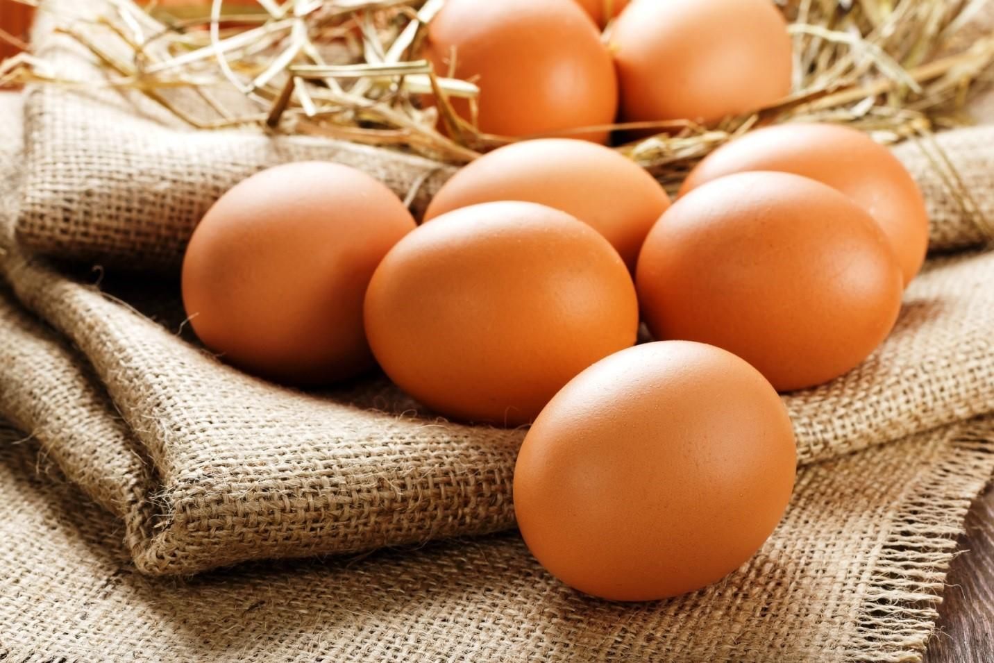Поширені міфи про курячі яйця