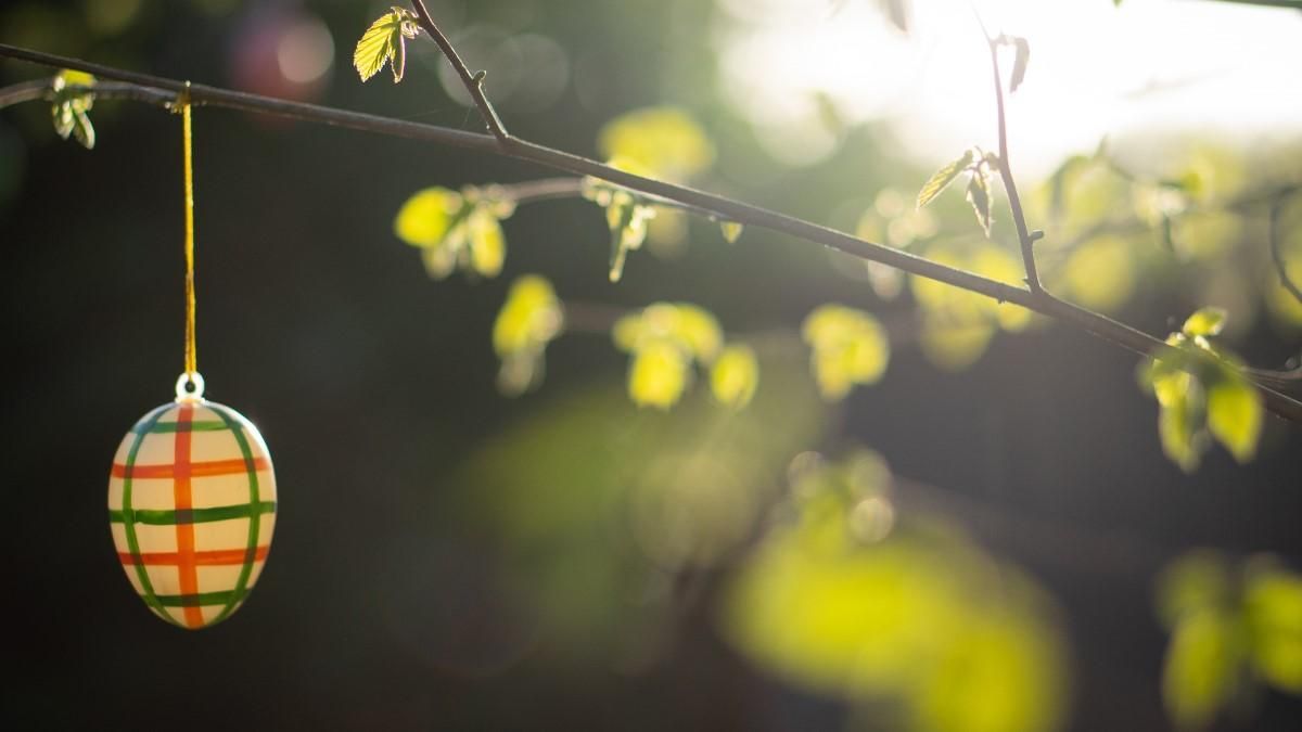 Как встретить Пасху без вреда для экологии Как встретить Пасху без вреда для экологии