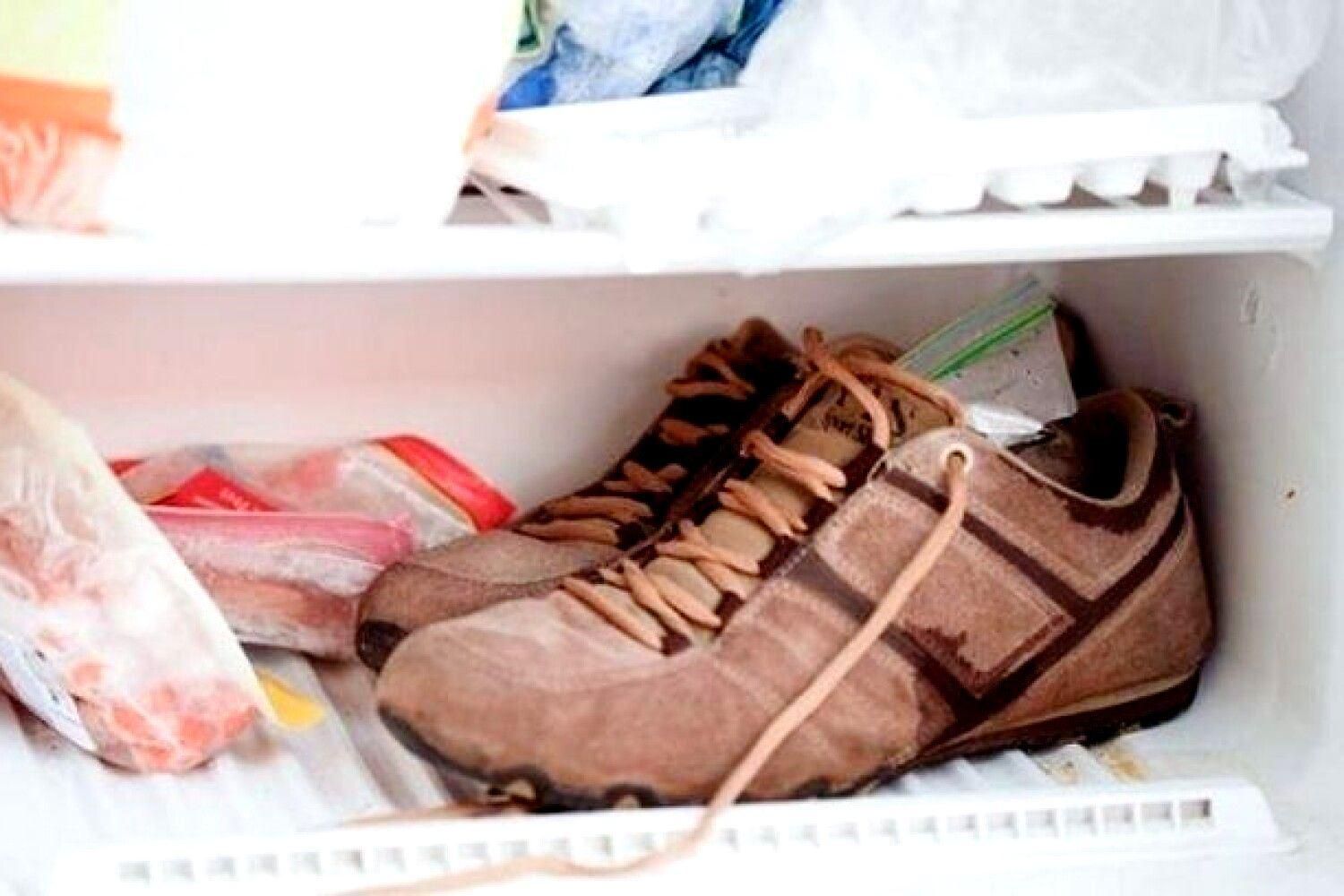 Незвичне використання морозильної камери Незвичне використання морозильної камери