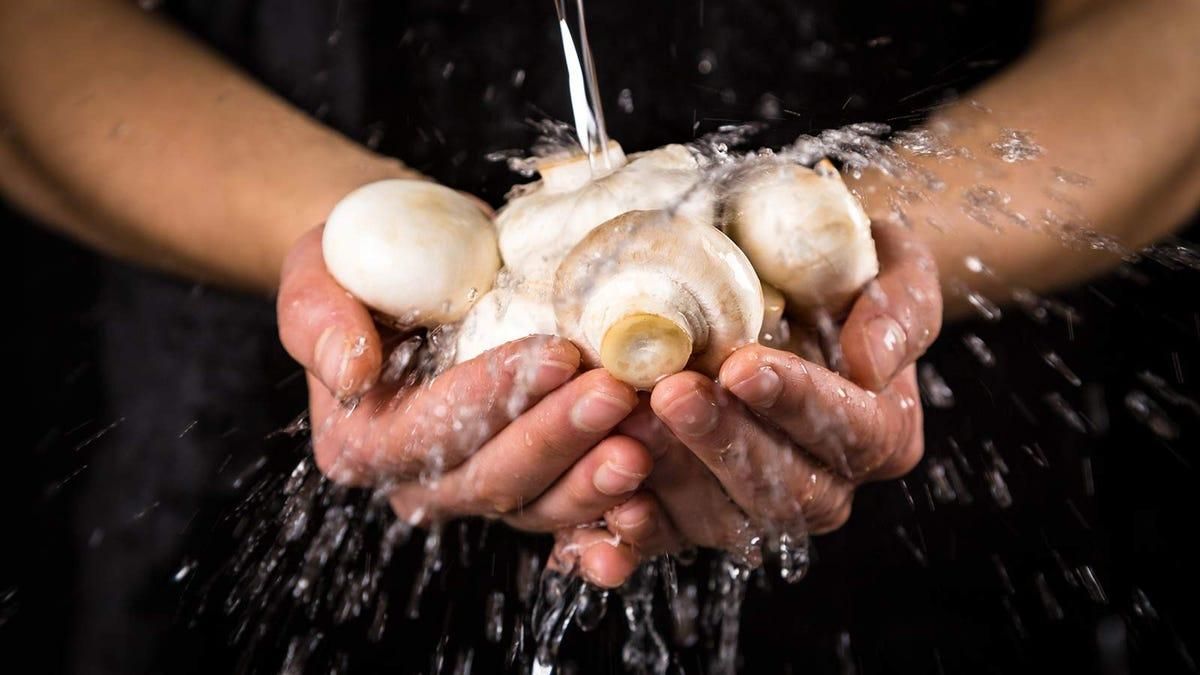 Правильное приготовление шампиньонов Правильное приготовление шампиньонов