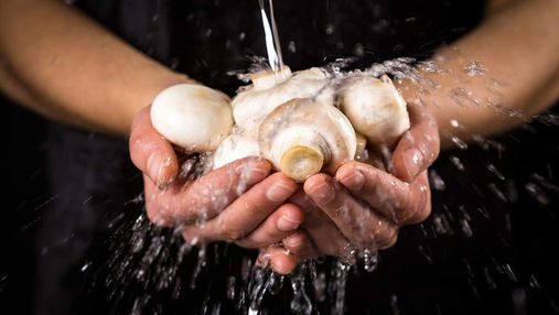 Нужно ли мыть и чистить шампиньоны: ответ не удивит только опытных кулинаров