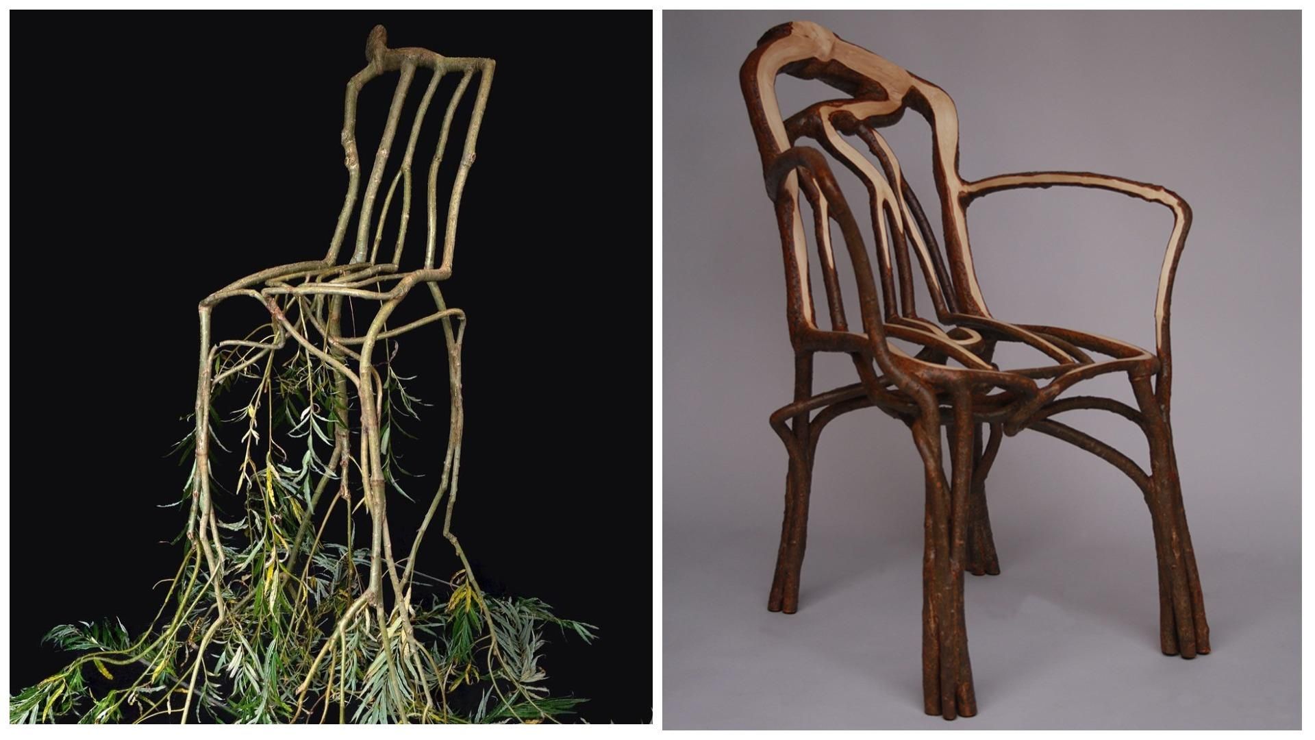 Британець вирощує меблі на деревах Британець вирощує меблі на деревах