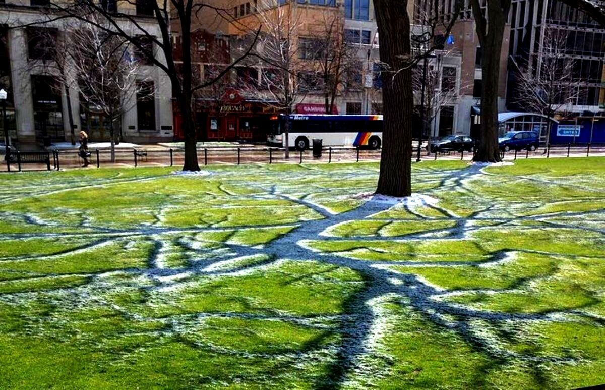 Идеальные моменты вокруг нас Идеальные моменты вокруг нас