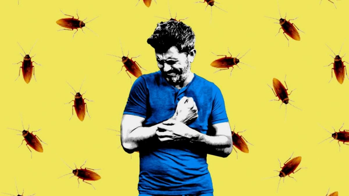 Простий та дешевий засіб для боротьби зі шкідливими комахами Простий та дешевий засіб для боротьби зі шкідливими комахами