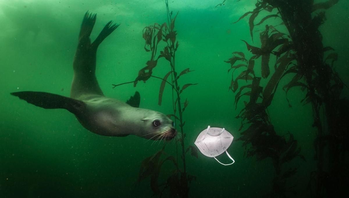 Конкурс фотографії Natural World BigPicture 2021 Конкурс фотографії Natural World BigPicture 2021