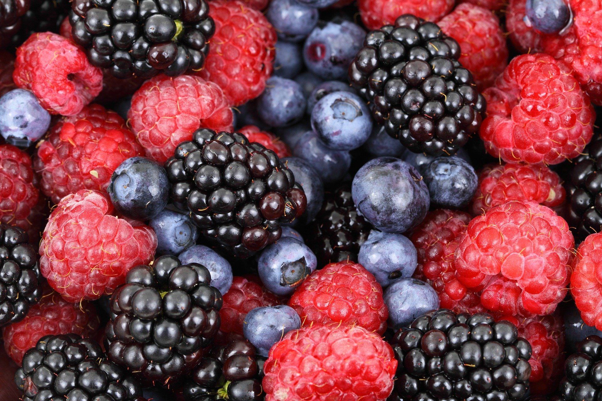 Летние витамины на зиму: как правильно заморозить ягоды и фрукты