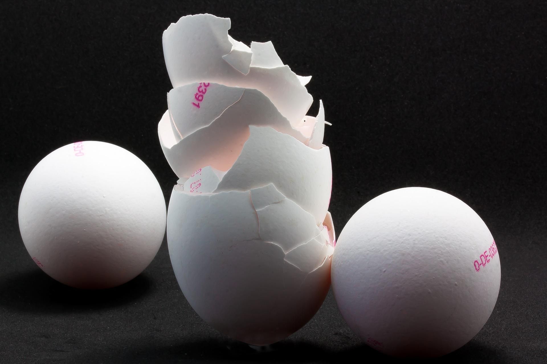 Яєчну шкаралупу можна їсти й не тільки: 7 корисних лайфхаків