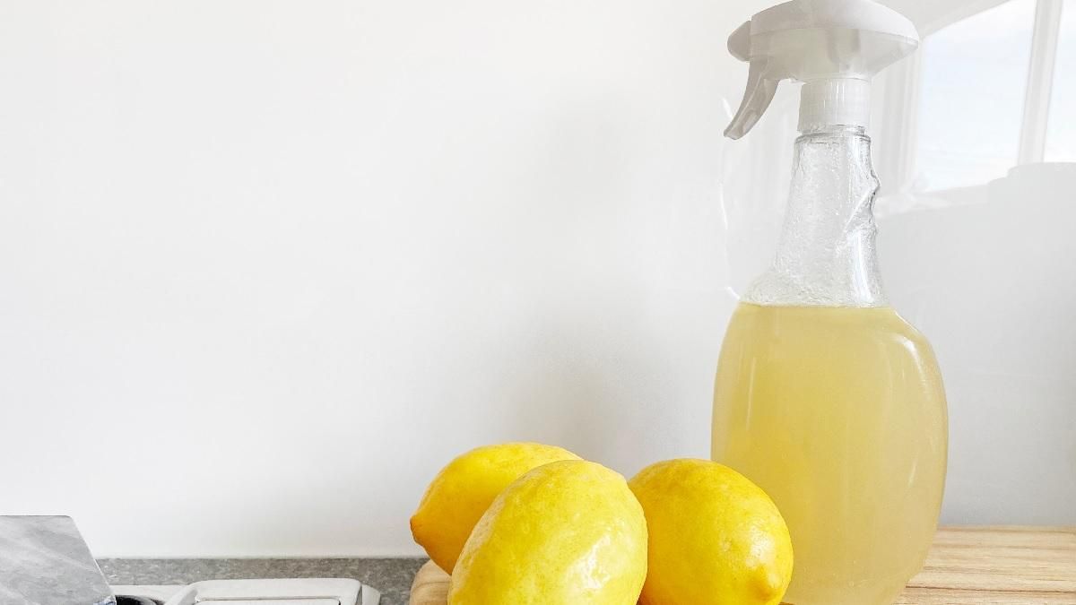 Лучшее средство для мытья окон: ингредиенты для рецепта есть в каждом доме