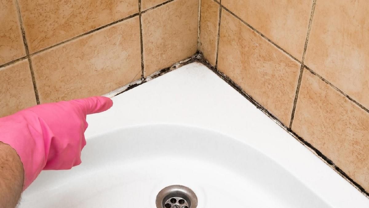 Плесень в ванной теперь не проблема: действенные методы, которые помогут от нее избавиться Плесень в ванной теперь не проблема: действенные методы, которые помогут от нее избавиться