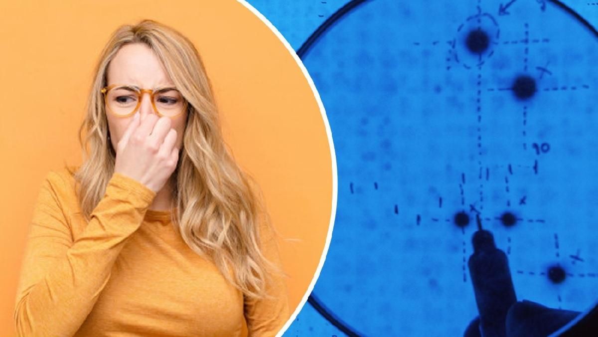 Как избавиться от неприятного запаха в подвале: причины и полезные советы Как избавиться от неприятного запаха в подвале: причины и полезные советы