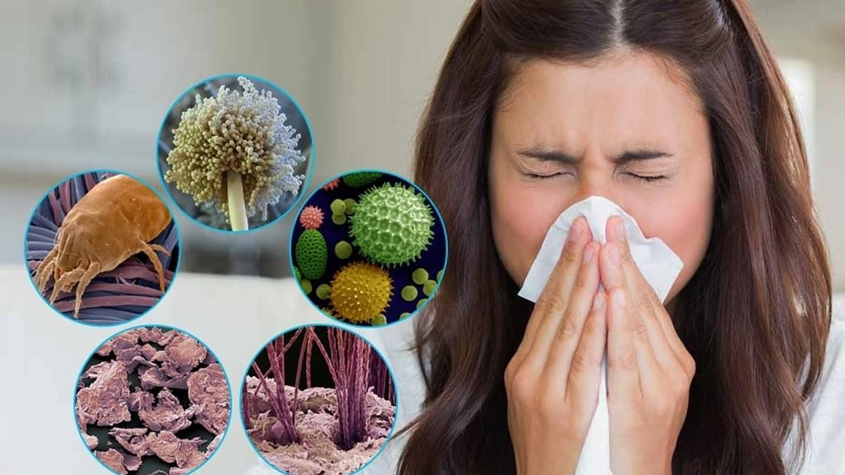 Аллергия или плесень: почему опасно сушить одежду в квартире