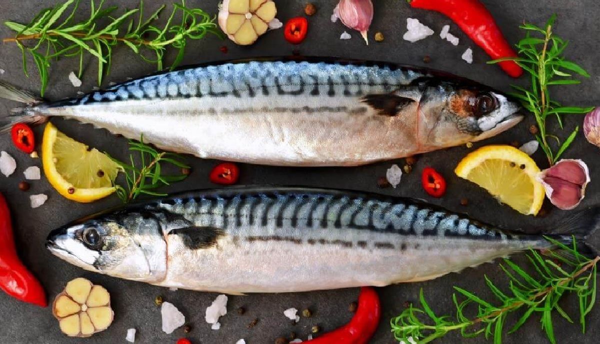 Запікайте скумбрію лише так: 3 простих рецепти – з овочами, у фользі та рукаві Запікайте скумбрію лише так: 3 простих рецепти – з овочами, у фользі та рукаві