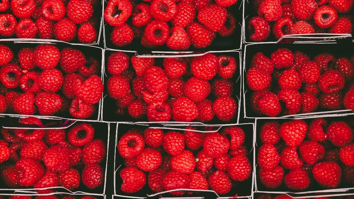 Поширені помилки під час заморожування ягід Поширені помилки під час заморожування ягід