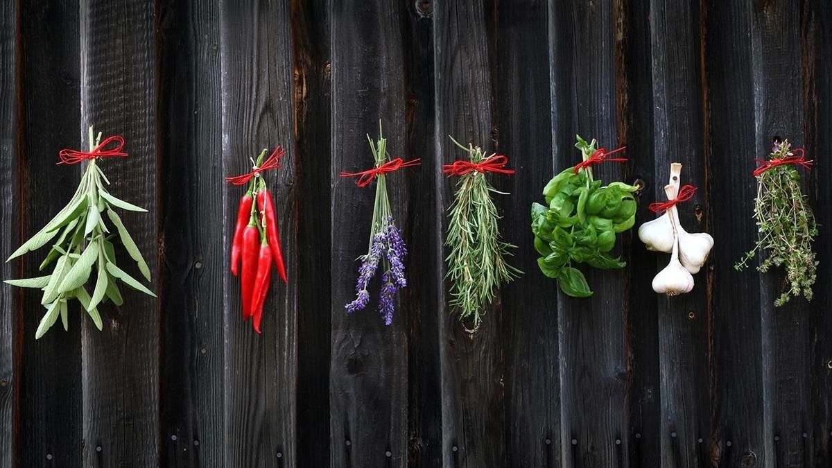 Ароматні спеції можна виростити вдома: пряна зелень завжди буде під рукою Ароматні спеції можна виростити вдома: пряна зелень завжди буде під рукою