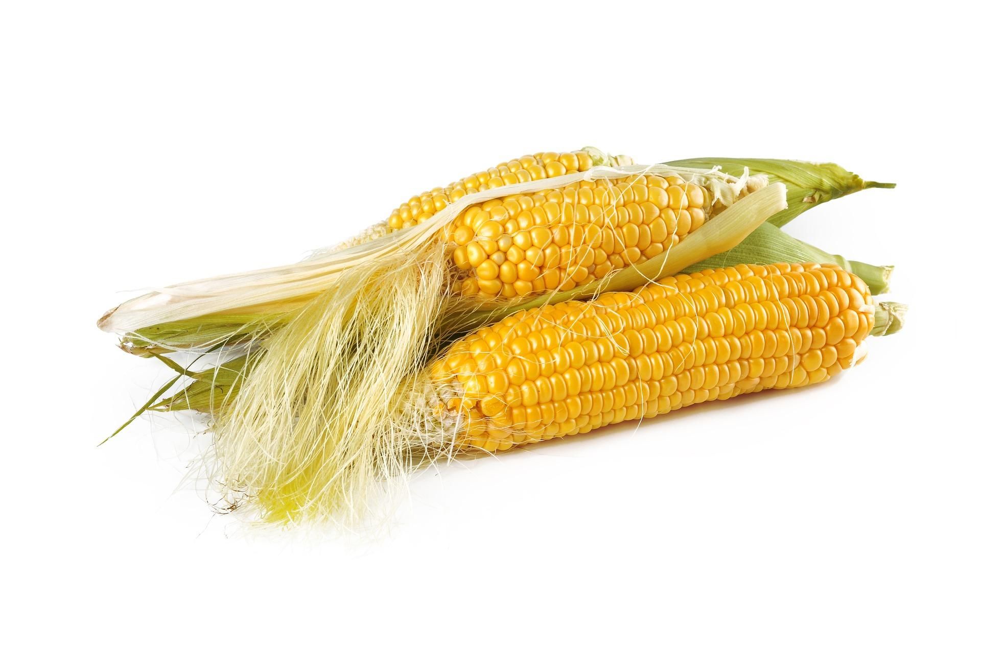 Приготування кукурудзи в мікрохвильовці: рецепт на 5 хвилин - Ідеї