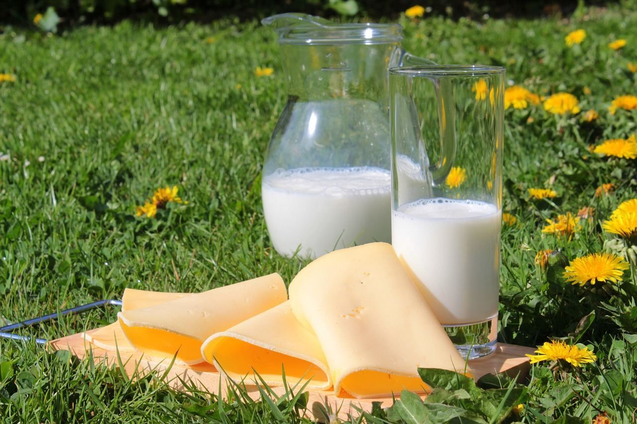 Чем заменить молочную продукцию в рационе: вкусные и полезные варианты