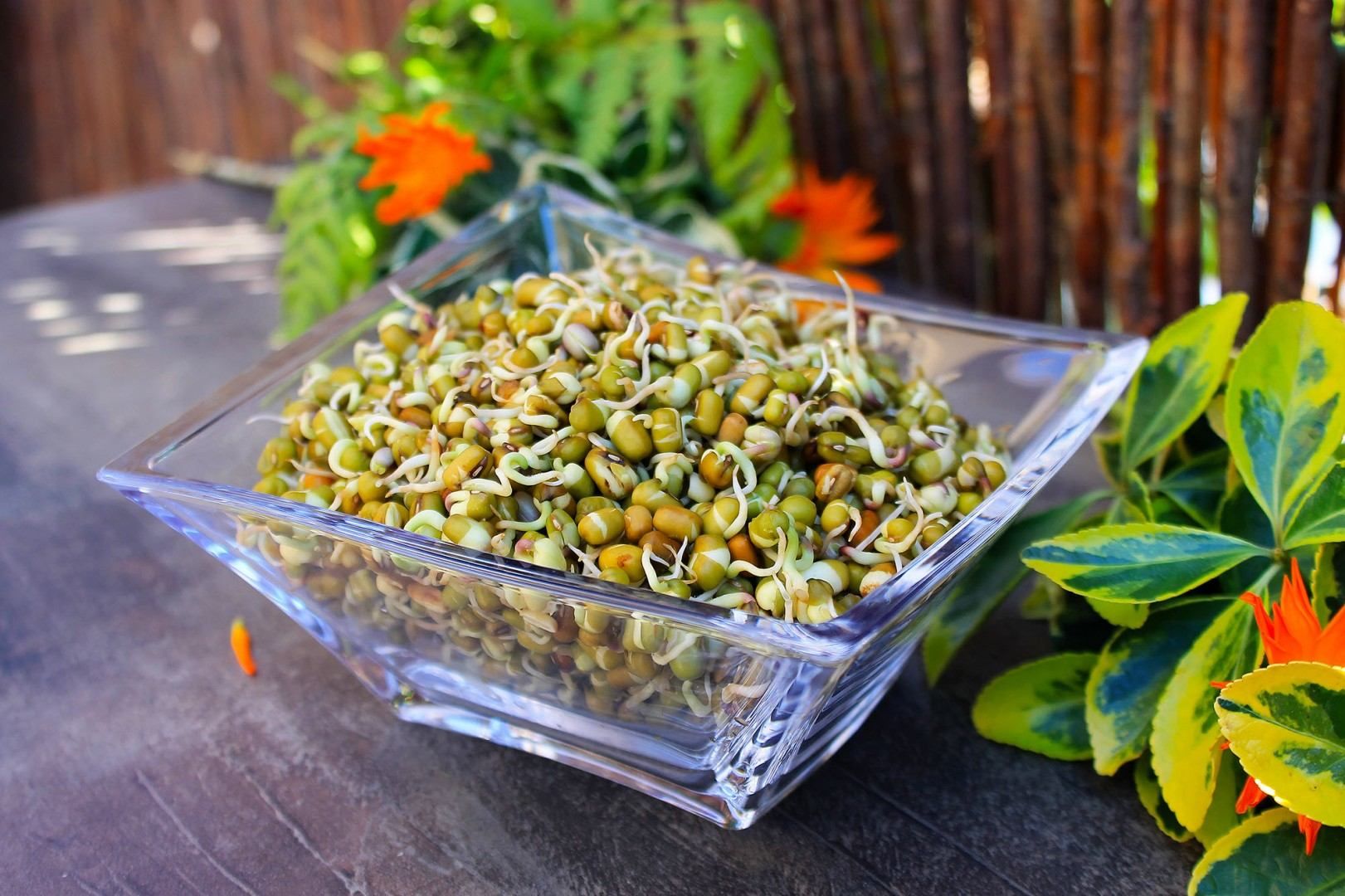 Що приготувати з маша: оригінальний рецепт літнього салату Що приготувати з маша: оригінальний рецепт літнього салату