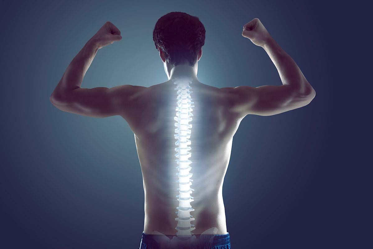 Вы забудете о сутулости: 2 ежедневных упражнения для красивой осанки – видеоинструкция - Идеи Вы забудете о сутулости: 2 ежедневных упражнения для красивой осанки – видеоинструкция - Идеи