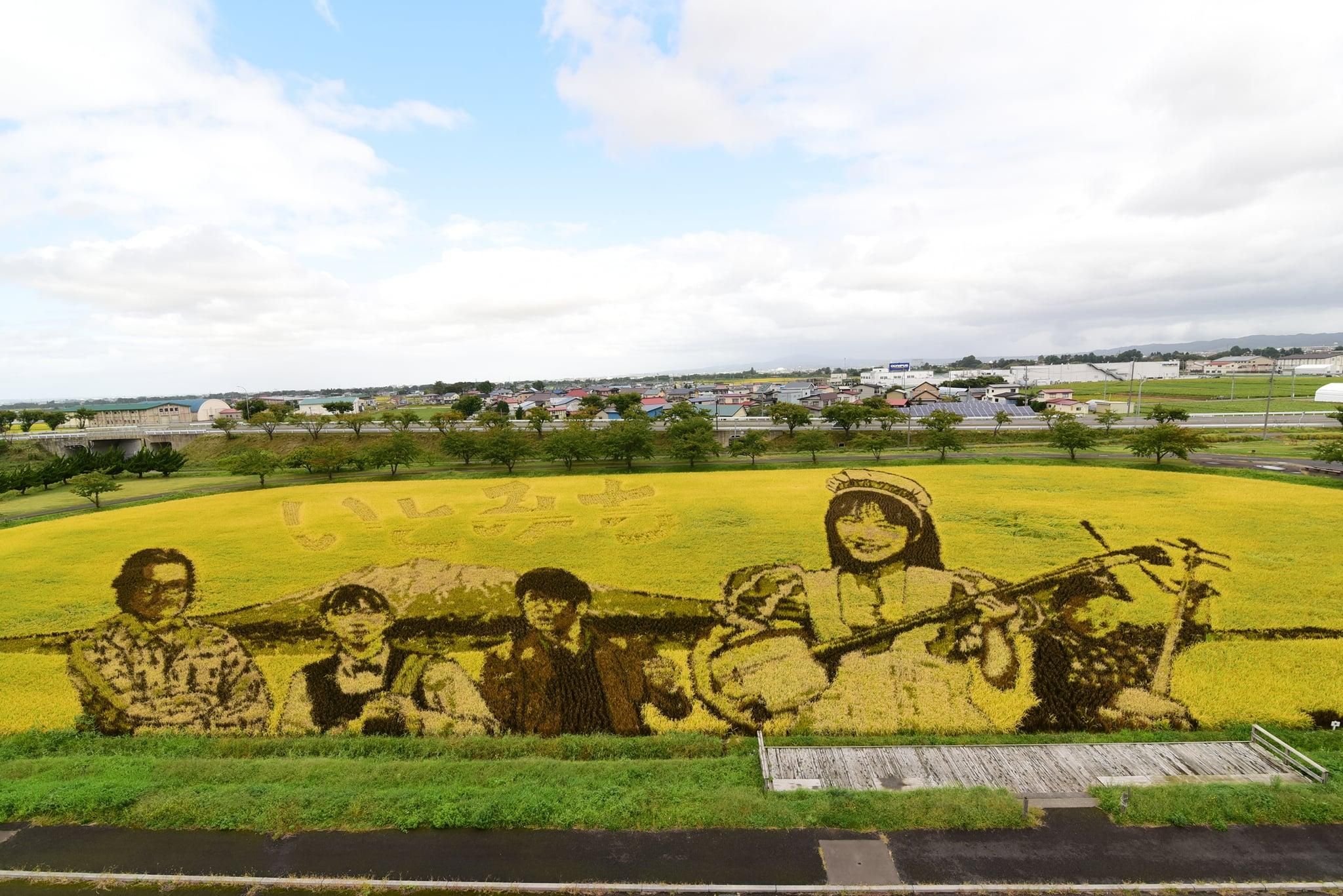 Рисові шедеври: в японському селі щороку перетворюють поля в картини - Ідеї Рисові шедеври: в японському селі щороку перетворюють поля в картини - Ідеї
