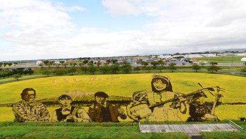 Рисові шедеври: в японському селі щороку перетворюють поля в картини
