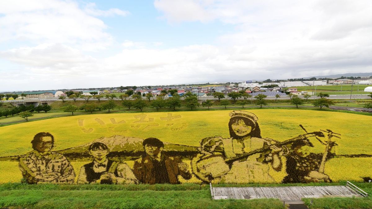 Рисовые шедевры: в японской деревне каждый год превращают поля в картины