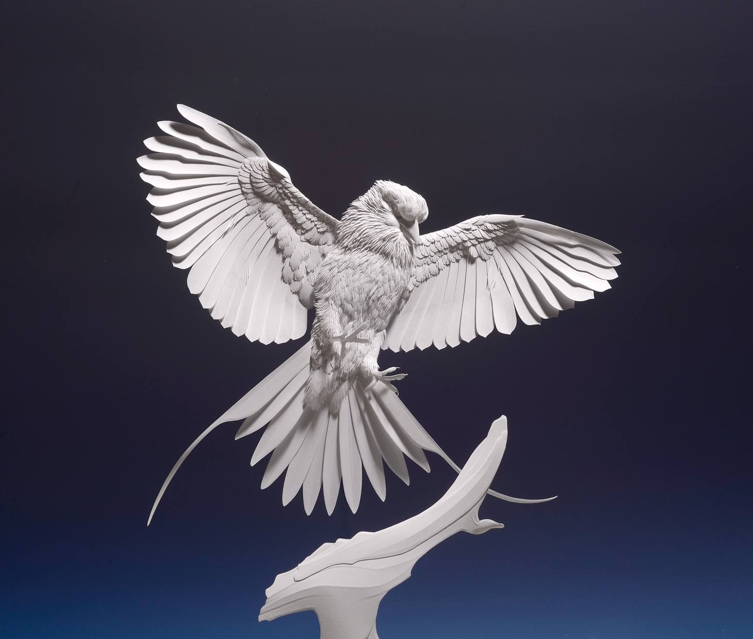 Надзвичайна реалістичність: митець створює паперові скульптури тварин - 21 октября 2021 - Идеи Надзвичайна реалістичність: митець створює паперові скульптури тварин - 21 октября 2021 - Идеи