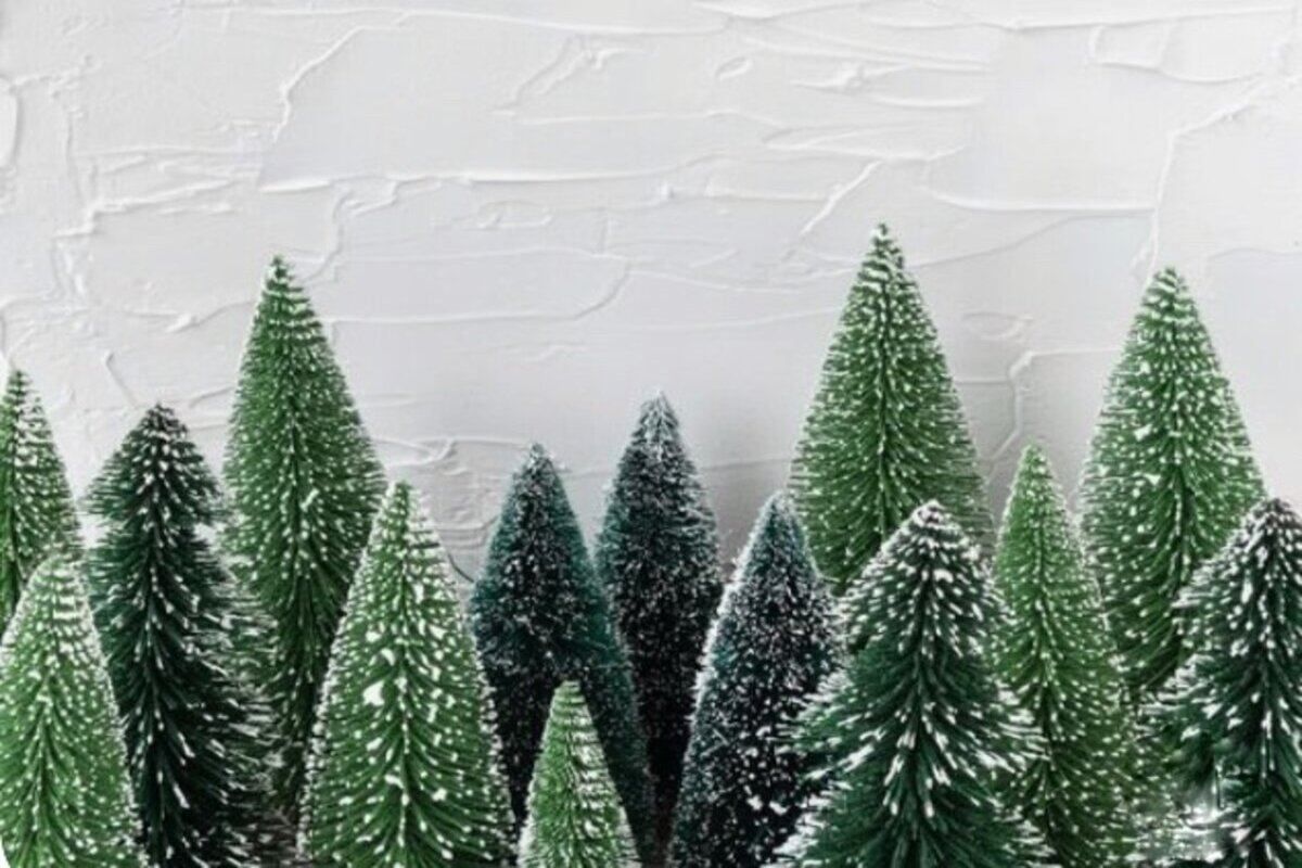 Выстоят против домашних любимцев: 5 необычных елок - Идеи Выстоят против домашних любимцев: 5 необычных елок - Идеи