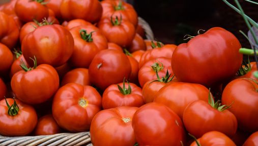 Чому помідори краще не зберігати в холодильнику